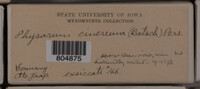 Image Associated With the Occurence